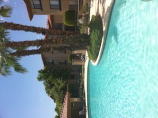 bncornelius profile photo