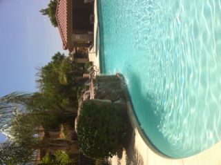 bncornelius profile photo