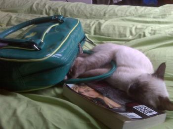 Malorie89 profile photo