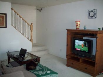 shan0628 profile photo