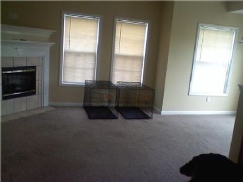 stephenh82 profile photo