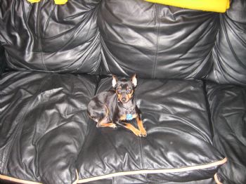 esims7120 profile photo