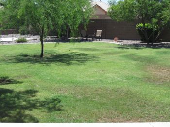 pleas397 profile photo