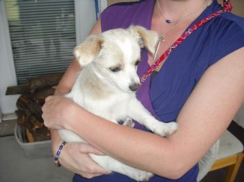 chelseakey profile photo