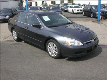 goldcrest142 profile photo