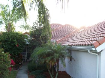 rtreharne profile photo