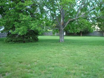 tiffanyb87 profile photo