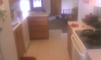 KoKoPebblez profile photo