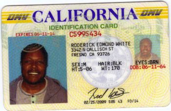 REWhite2010 profile photo