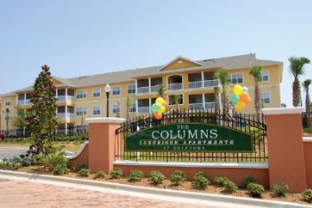 nmedley profile photo