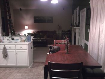 jojo2083 profile photo