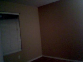 29-palms profile photo