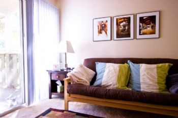 kryka83 profile photo