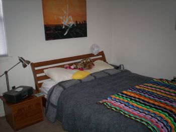 CEStoops profile photo