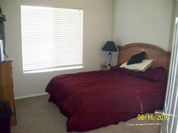 mag8269 profile photo