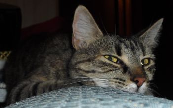 Sandra90 profile photo