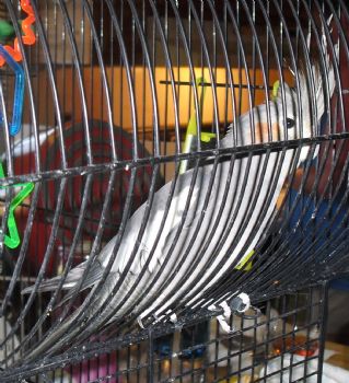 Sandra90 profile photo