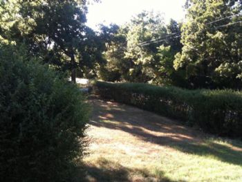 adamsam profile photo