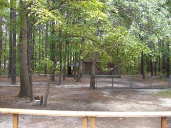 Michael1966 profile photo