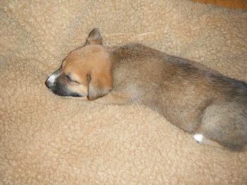 jesslowrance profile photo