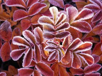 a77la2009 profile photo