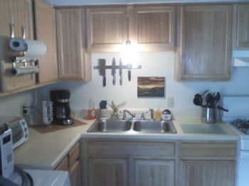 kimkat79 profile photo