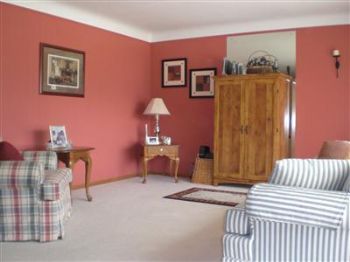 lilfedor profile photo