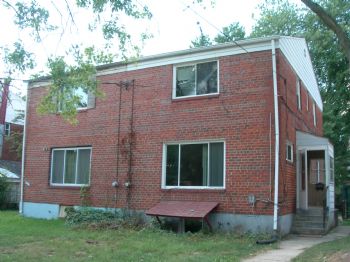 nopetrol profile photo