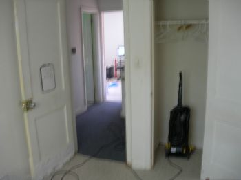 nopetrol profile photo