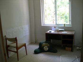 nopetrol profile photo