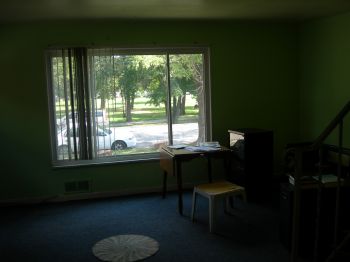 nopetrol profile photo