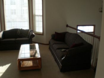 amshaner profile photo