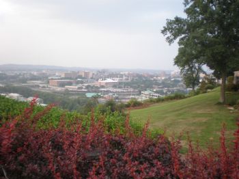 mpayne2 profile photo