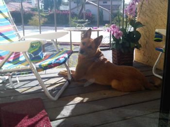 sfequiere profile photo