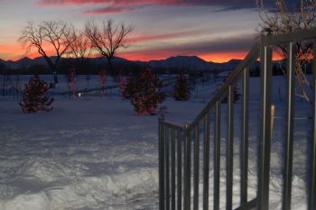 JustMeLAZ profile photo