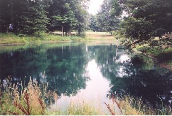 hockeytote profile photo