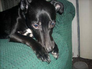 kimbee1 profile photo