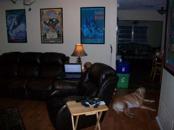 shradera profile photo