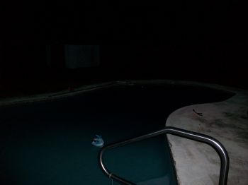 shradera profile photo