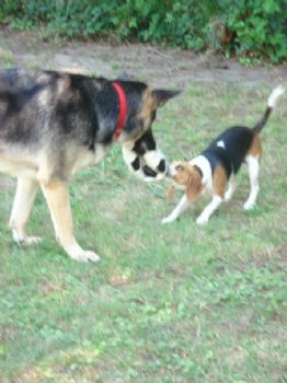 jessecarda profile photo