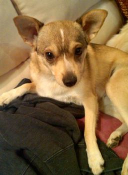 cammieterry profile photo