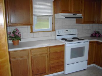 mronne profile photo