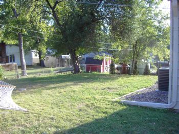 mronne profile photo