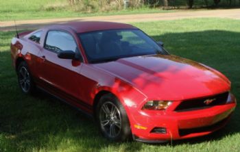 kelbie profile photo