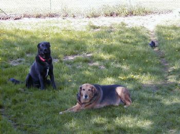 sie133 profile photo