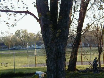 sie133 profile photo