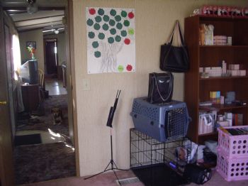 tarenlee profile photo