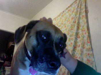 brandy6762 profile photo
