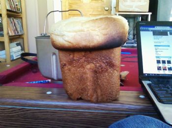 ethanrooney1 profile photo