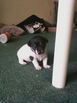 jonny81 profile photo